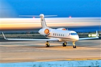 Miguel A. gueda Rguez.  (CANARY ISLANDS SPOTTING). Haz click para ampliar