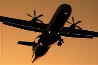 Javier de la Cruz - CANARY ISLANDS SPOTTING. Click to see full size photo
