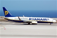 Luciano Fumero( freedom spotter)canary island spotting. Click to see full size photo