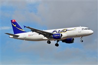 Miguel A. gueda Rguez.  (CANARY ISLANDS SPOTTING). Haz click para ampliar