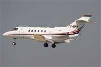 Rubn C.. Click to see full size photo