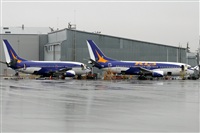 Rubn Gil - Noisy Spotters. Click to see full size photo