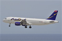 Miguel A. gueda Rguez.  (CANARY ISLANDS SPOTTING). Haz click para ampliar