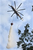 Alexander Nikolaev - RuSpotters Team. Click to see full size photo