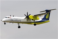 Rubn Gil - Noisy Spotters. Click to see full size photo