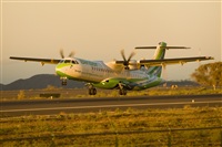 Javier de la Cruz - CANARY ISLANDS SPOTTING. Click to see full size photo