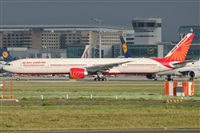 ©Julián Rodríguez - Noisy Spotters. Click to see full size photo ©Julián Rodríguez - Noisy Spotters. Click to see full size photo