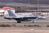 Alfonso Sols - Asociacin Canary Islands Spotting. Click to see full size photo