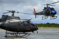 Gonzalo Cifuentes Vladilo. Click to see full size photo
