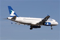 ©Alfonso Solís - Asociación Canary Islands Spotting. Click to see full size photo ©Alfonso Solís - Asociación Canary Islands Spotting. Click to see full size photo