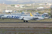 Luciano Fumero( freedom spotter)canary island spotting. Haz click para ampliar
