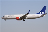Miguel Alia - Noisy Spotters. Click to see full size photo