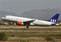 ©Javier Rodríguez. Click to see full size photo ©Javier Rodríguez. Click to see full size photo
