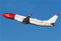 Miguel Alia - Noisy Spotters. Click to see full size photo