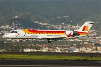 Miguel A. gueda Rguez.  (CANARY ISLANDS SPOTTING). Click to see full size photo