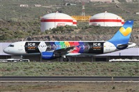 ©Alfonso Solís - Asociación Canary Islands Spotting. Click to see full size photo ©Alfonso Solís - Asociación Canary Islands Spotting. Click to see full size photo