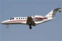 Rubn Gil - Noisy Spotters. Click to see full size photo