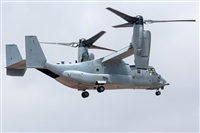 Bartolom Fernndez - Gran Canaria Spotters. Click to see full size photo