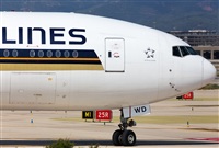 Miguel Alia - Noisy Spotters. Click to see full size photo