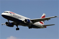 Rubn Gil - Noisy Spotters. Click to see full size photo