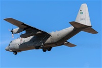©Adolfo Bento - Gran Canaria Spotters. Click to see full size photo ©Adolfo Bento - Gran Canaria Spotters. Click to see full size photo