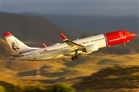 Saimon J Rodriguez   -   Canary Islands Spotting. Click to see full size photo