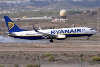 Miguel A. gueda Rguez.  (CANARY ISLANDS SPOTTING). Click to see full size photo