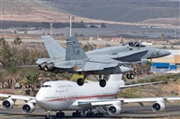 Bartolom Fernndez - Gran Canaria Spotters. Click to see full size photo