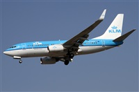 Alfonso Sols - Asociacin Canary Islands Spotting. Click to see full size photo
