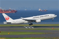 Miguel A. gueda Rguez.  (CANARY ISLANDS SPOTTING). Click to see full size photo