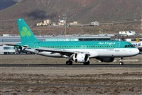 ©Alfonso Solís - Asociación Canary Islands Spotting. Click to see full size photo ©Alfonso Solís - Asociación Canary Islands Spotting. Click to see full size photo