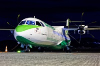 Javier de la Cruz - CANARY ISLANDS SPOTTING. Click to see full size photo