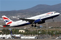 Alfonso Sols - Asociacin Canary Islands Spotting. Click to see full size photo
