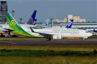 Miguel A. gueda Rguez.  (CANARY ISLANDS SPOTTING). Click to see full size photo