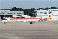 La Roche Spotters. Click to see full size photo