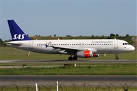 Alfonso Sols - Asociacin Canary Islands Spotting. Click to see full size photo