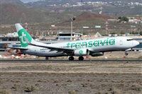 Alfonso Sols - Asociacin Canary Islands Spotting. Haz click para ampliar