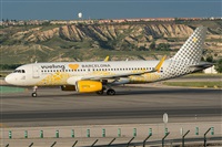 ©Adolfo Bento - Gran Canaria Spotters. Click to see full size photo ©Adolfo Bento - Gran Canaria Spotters. Click to see full size photo