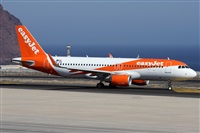 Alfonso Sols - Asociacin Canary Islands Spotting. Haz click para ampliar