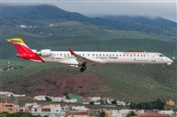 ©Adolfo Bento - Gran Canaria Spotters. Click to see full size photo ©Adolfo Bento - Gran Canaria Spotters. Click to see full size photo