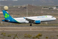 Miguel A. gueda Rguez.  (CANARY ISLANDS SPOTTING). Click to see full size photo