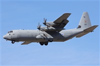 Guillermo Garca del Alamo. Click to see full size photo
