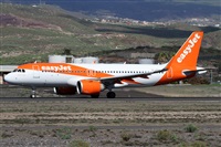 Alfonso Sols - Asociacin Canary Islands Spotting. Haz click para ampliar