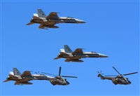 ©Alejandro H.L - Gran Canaria Spotters. Click to see full size photo ©Alejandro H.L - Gran Canaria Spotters. Click to see full size photo