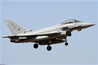 Alfonso Sols - Asociacin Canary Islands Spotting. Click to see full size photo