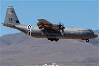 Adolfo Bento - Gran Canaria Spotters. Click to see full size photo