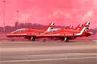 Javier de la Cruz - CANARY ISLANDS SPOTTING. Click to see full size photo