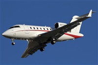 Alfonso Sols - Asociacin Canary Islands Spotting. Click to see full size photo
