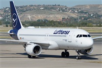 Miguel A. gueda Rguez.  (CANARY ISLANDS SPOTTING). Haz click para ampliar