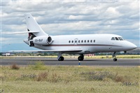©Adolfo Bento - Gran Canaria Spotters. Click to see full size photo ©Adolfo Bento - Gran Canaria Spotters. Click to see full size photo